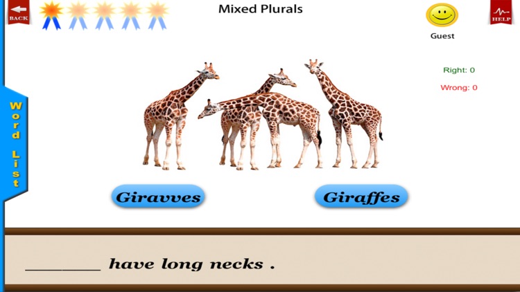 Irregular Plurals - English Language Art Grammar App