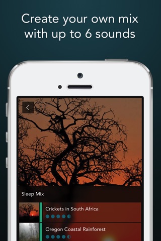 Soothing Sleep Sounds screenshot 4