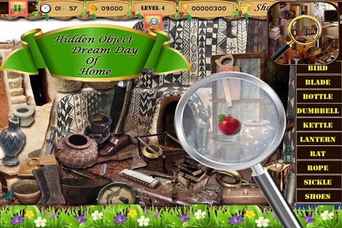 Hidden Object : Dream Day Of Home screenshot 3