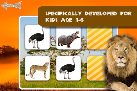 Free Memo Game Wild Animals Photo screenshot 2