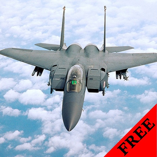 F-15 Eagle FREE icon