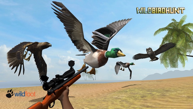 Wild Bird Hunt(圖1)-速報App