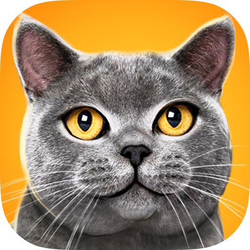 Virtual Cat 3D CROWN iOS App