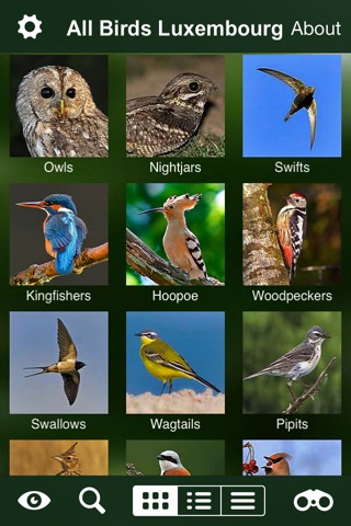Alle Vögel Luxemburg - ein vollständiger Naturführer zu allen Vogelarten Luxemburgs screenshot 3