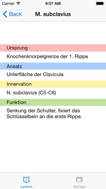 Lukapps Muskel Lernkartei