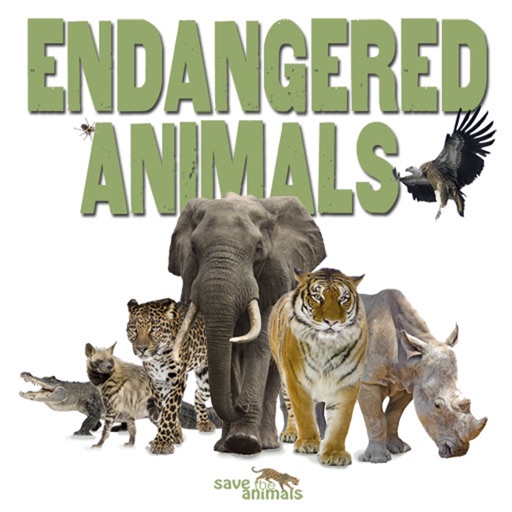 Endangered animals плакат. Исчезающие животные коллаж. Endangered species картинка. Животные на g.