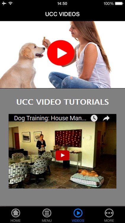 The Untold Secret to Mastering Indoor House Training for Dog in Just 7 Days