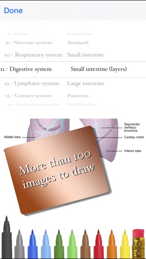 DrawAnatomy(圖2)-速報App