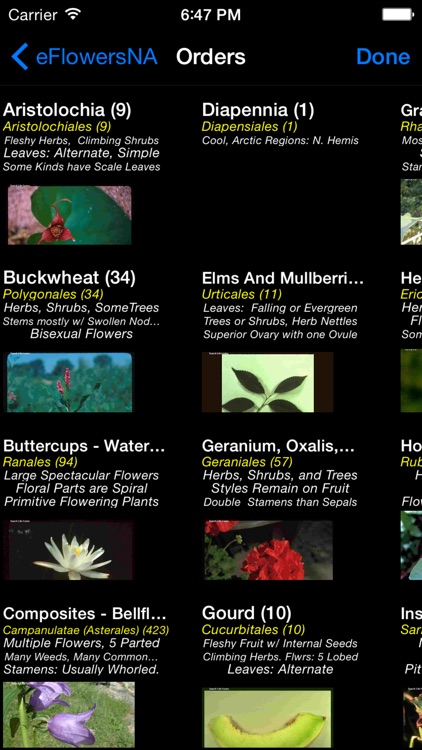 Wildflowers of North America - eFlowersNA - A Wildflower App screenshot-3