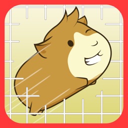 Guinea Pig Escape! - Jump Fall Cage Hero