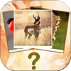 Animal Name Quiz - Guess The Animal