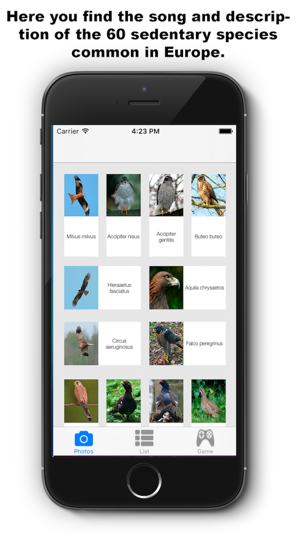 Birds Songs App, ornithology