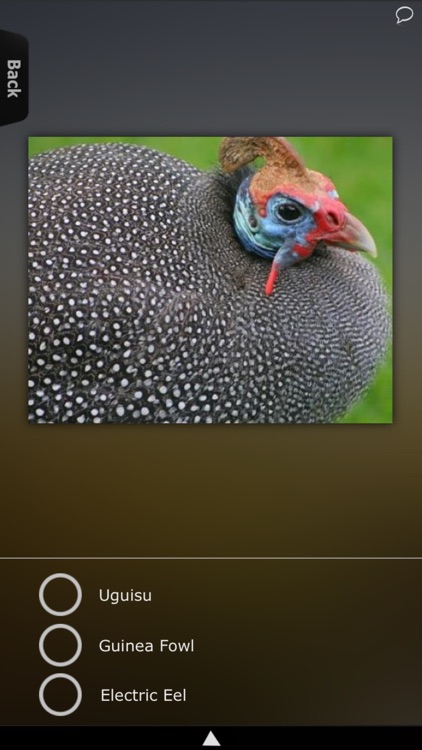 Animal Kingdom Guide screenshot-3