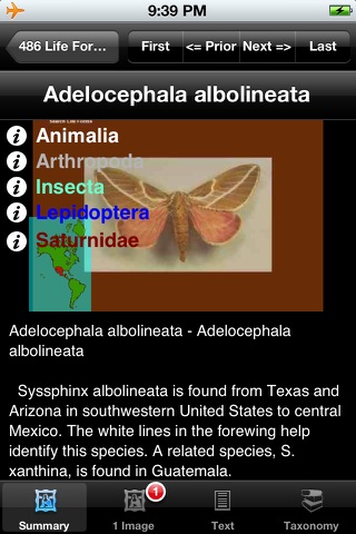 Butterflies & Moths of North America screenshot 3
