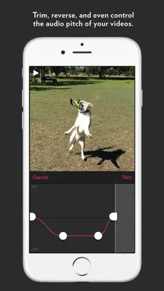 Captura 3 Slow Fast Slow - Control the Speed of Your Videos iphone