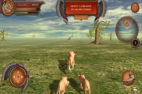 Lioness Simulator Pro screenshot 2