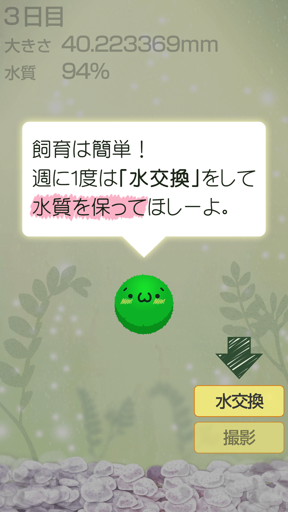 ゆる く まりも育成 かわいい無料マリモ育成ゲーム Free Download App For Iphone Steprimo Com