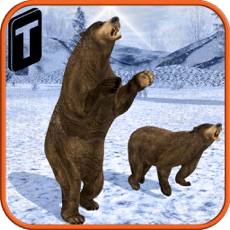 Activities of Bear Revenge 3D