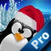 Cookie Penguin Pro