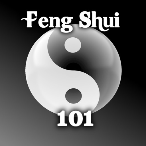 Feng Shui 101 - Pro Edition