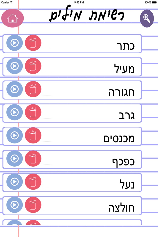 הכתבה lite screenshot 2