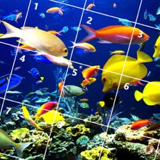 Activities of Fish Jigsaw Puzzles