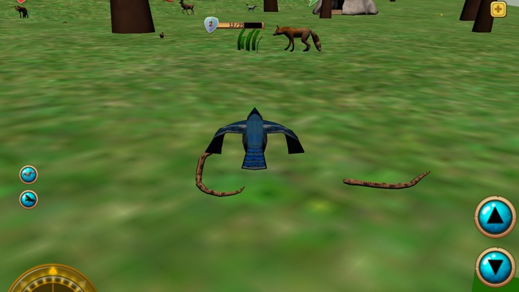 Blue Jay Simulator 3D