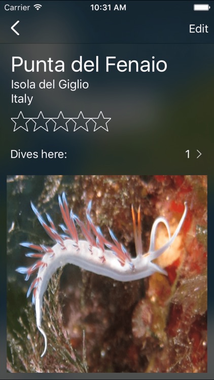 Divers Book