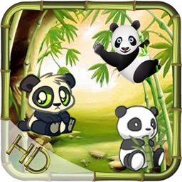 Jewel Panda HD