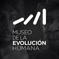 Museo de la Evolución Humana pour PC