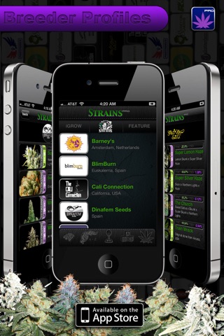 Strains Pro - An Advanced Breeder's Guide to World's Distinctive Cannabis screenshot 2