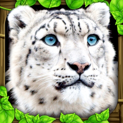 Snow Leopard Game Snow Leopard Game