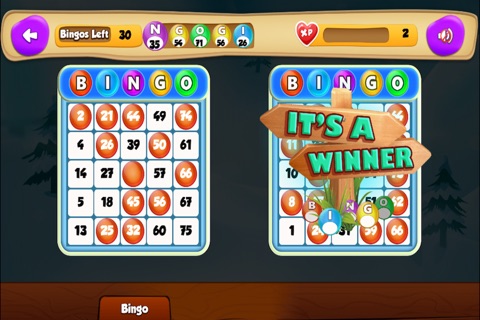 Santa Claus Christmas Bingo - Xmas Casino Fun screenshot 2