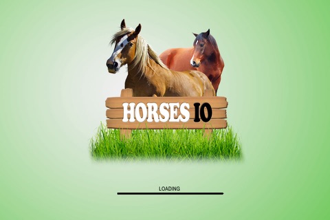 Horses IO screenshot 4