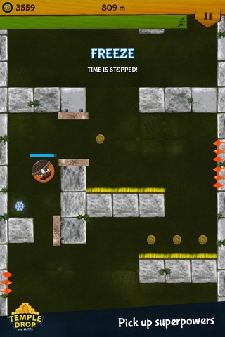 Temple Drop - The Mayas screenshot 4