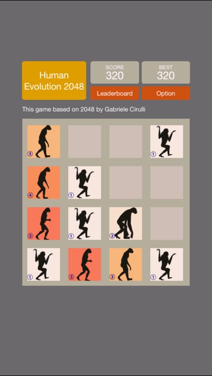 Human Evolution 2048