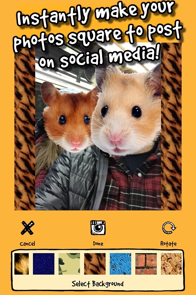 hamstergram - make people hamsters instantly and more! screenshot 4