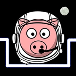 Space Pigs