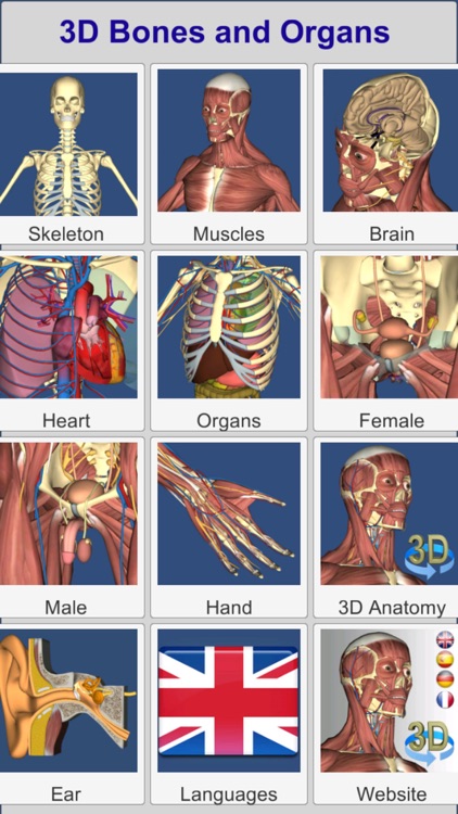 3D Bones and Organs (Anatomy)