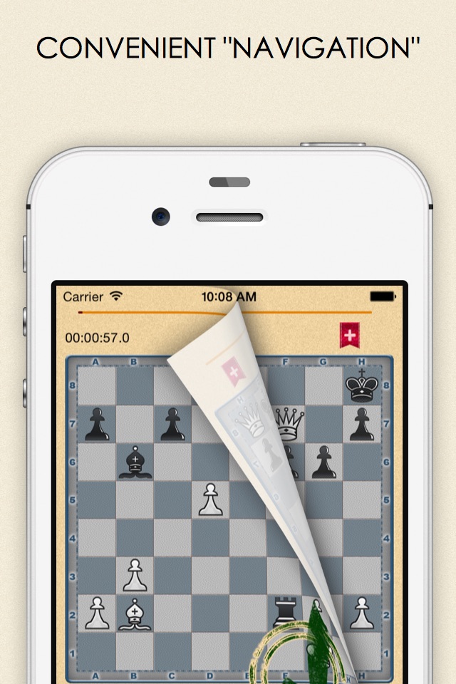 Mate in 2? OK! v.1 screenshot 4