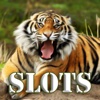 Extinction Animals Slots Machine - FREE Amazing Las Vegas Casino Games Premium Edition