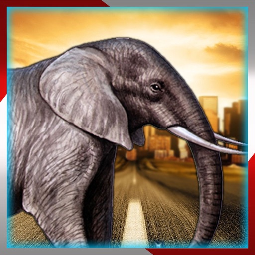 Elephant Traffic Safari:Collect coins and enjoy this adventure run icon