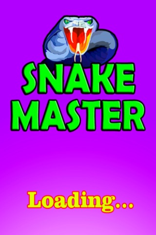 Snake Master - The Classic Retro Phone Game screenshot 2