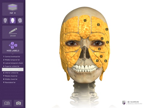 Interactive Anatomy - FI screenshot 2