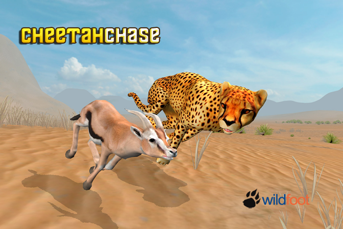 Cheetah Chase