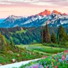 Mount Rainier National Park wallpapers