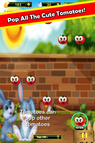Tomato Squashers screenshot 3
