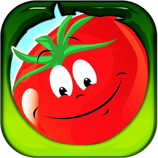 Tomato Splash - Slice Them Like A Ninja ! icon