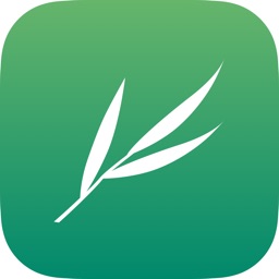 Bamboo - Save, Share and Discover Highlights