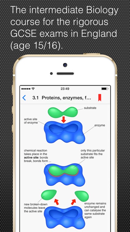 GCSE Biology Revision Guide Unit 2